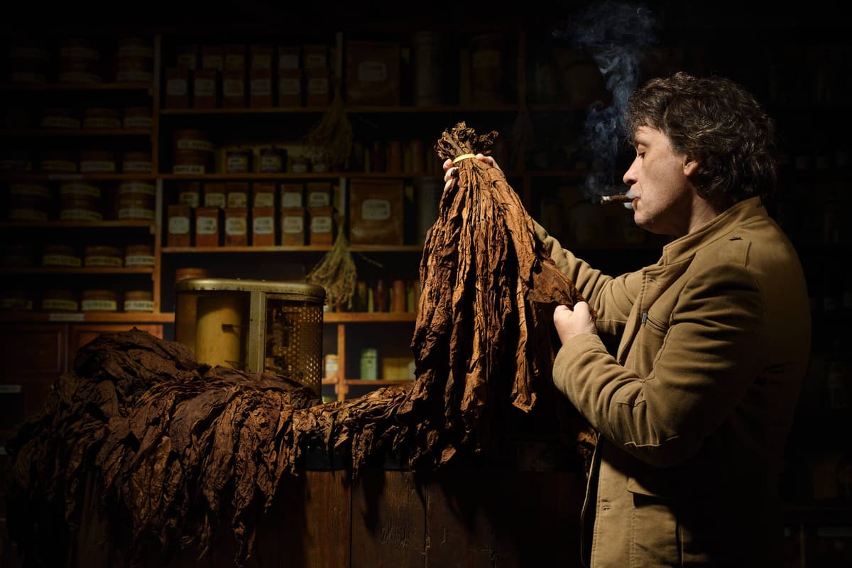 Premium Tobacco Premium Tobacco